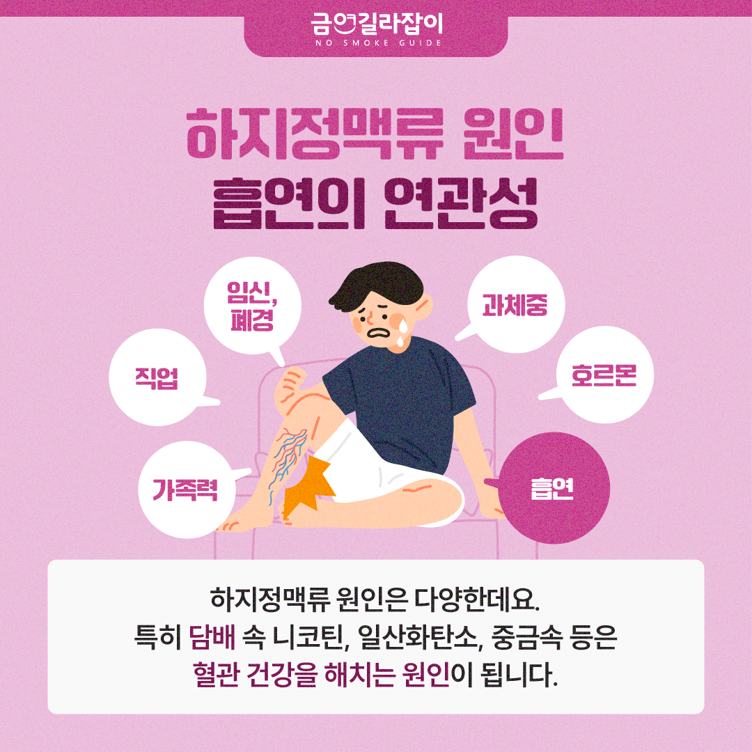 [카드뉴스] 울퉁불퉁한 다리 하지정맥류 원인 흡연 3