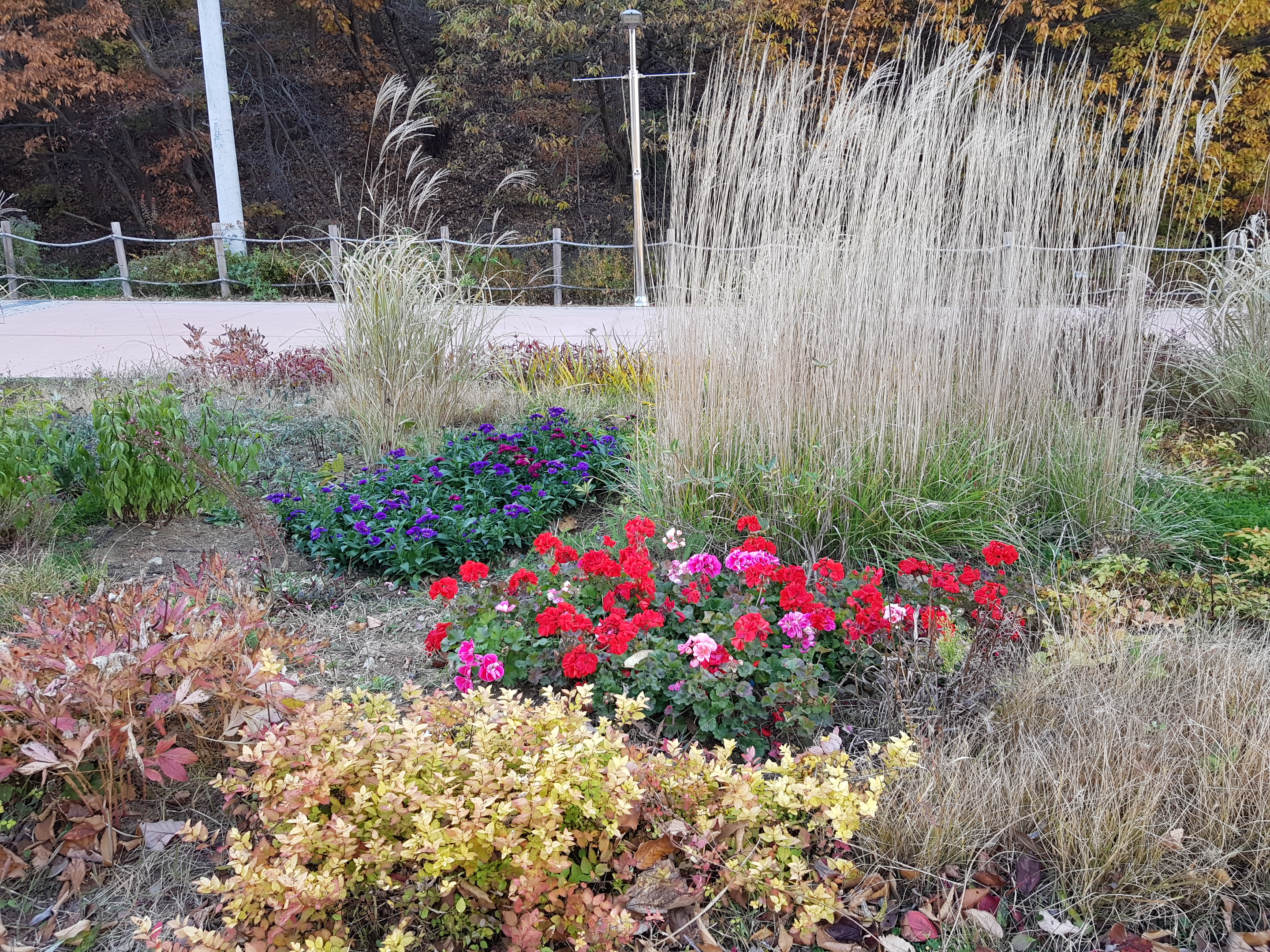 추워도 예쁜 초막골 이미지