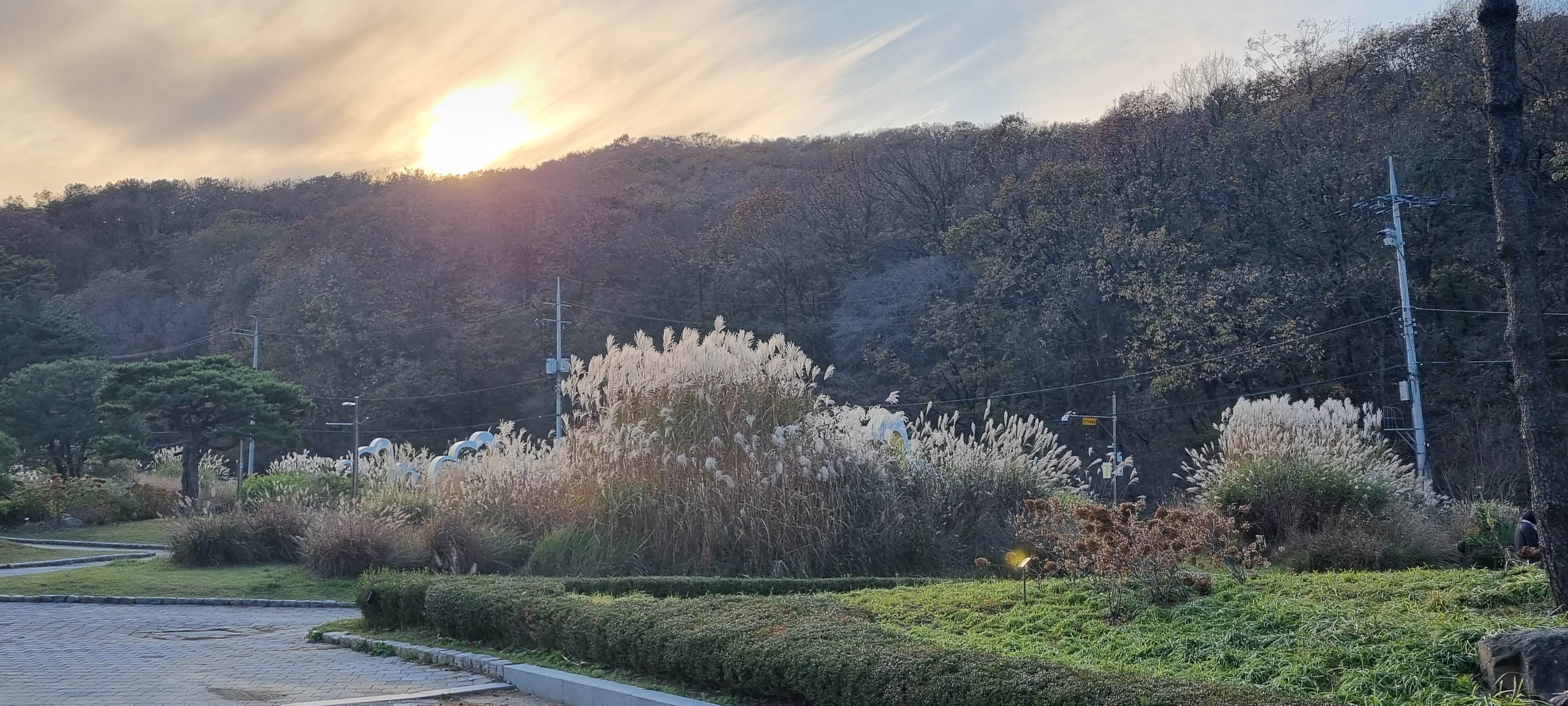 군포초막골생태공원가을 이미지