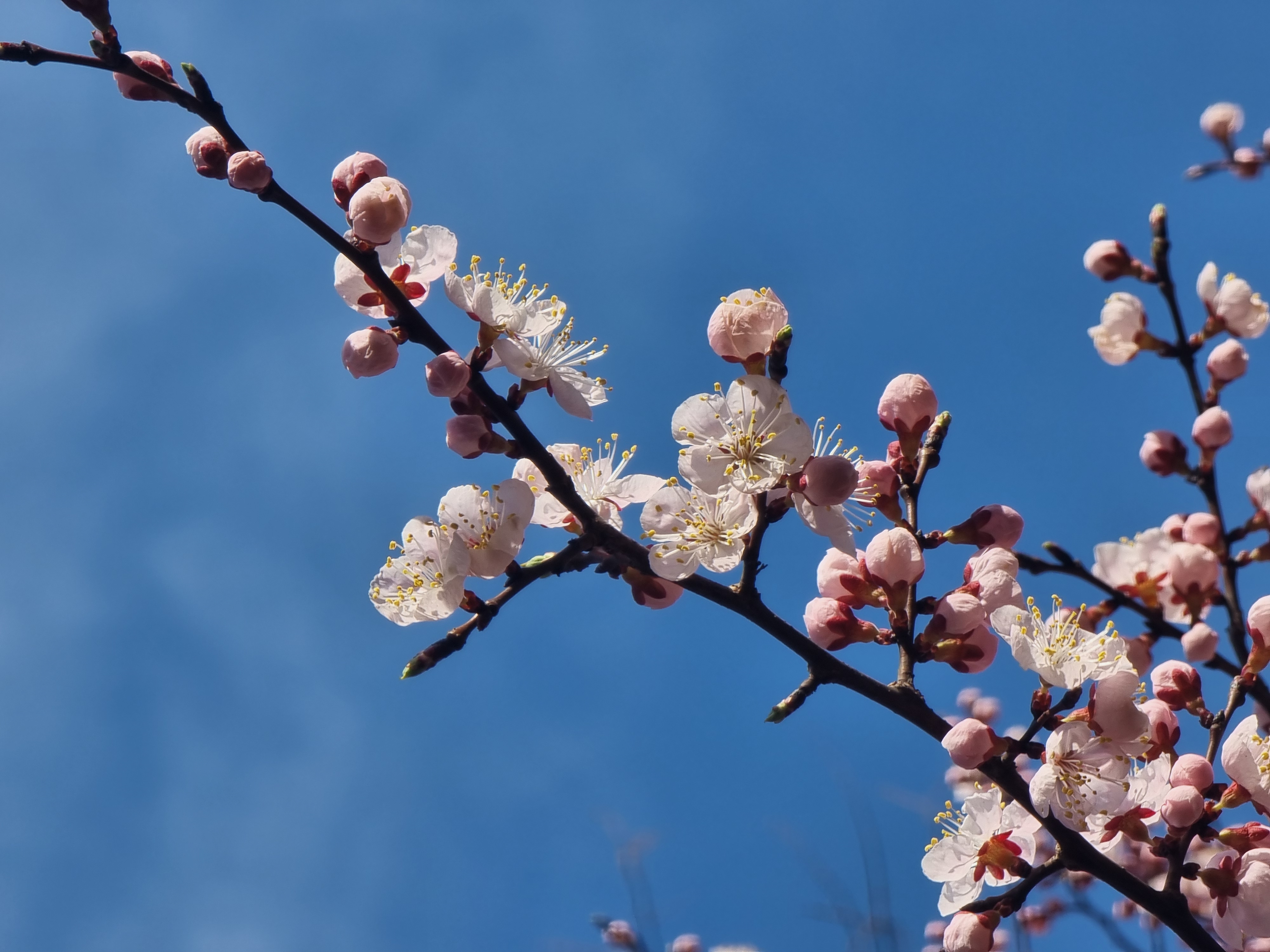 2025 군포시 시민기자단 사진전시회 이미지