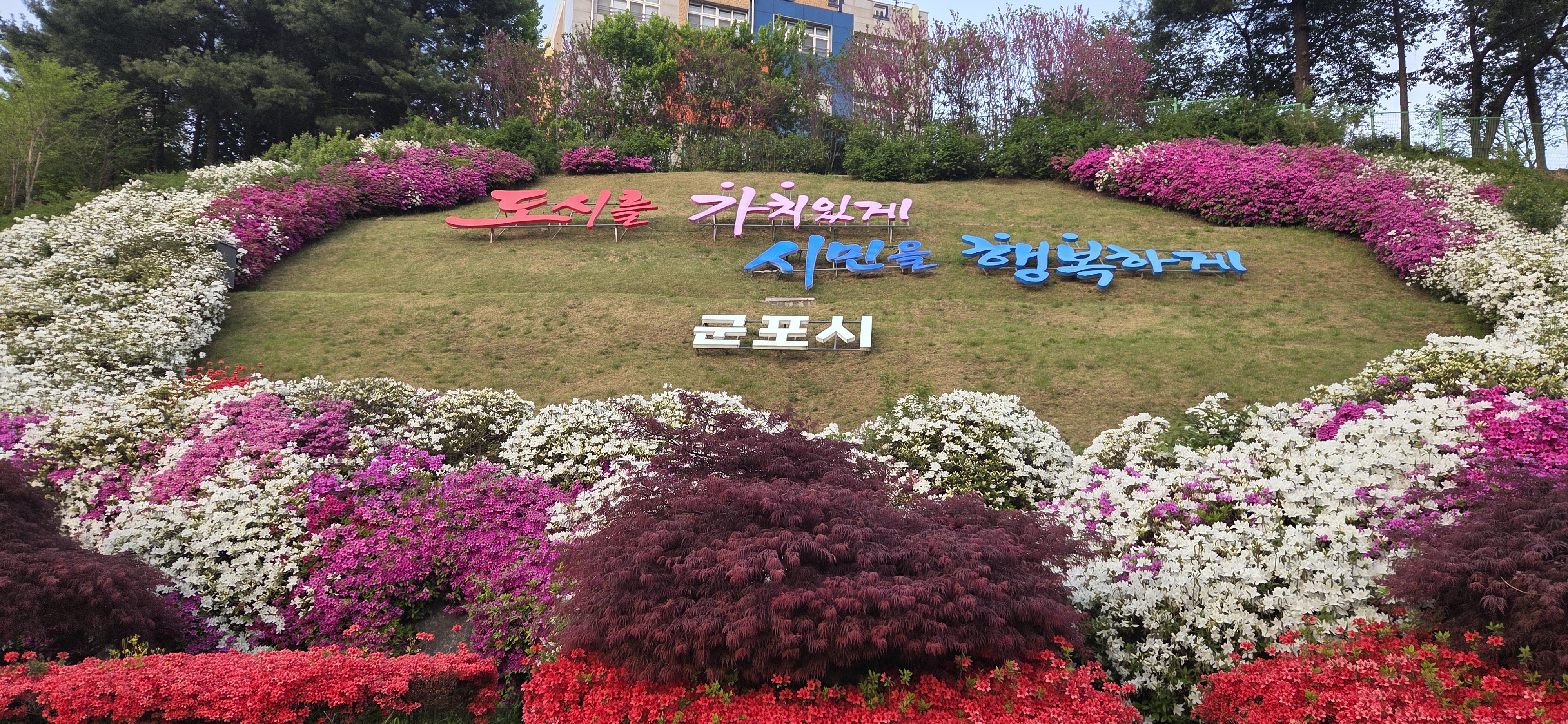철쭉축제 마지막날 이미지