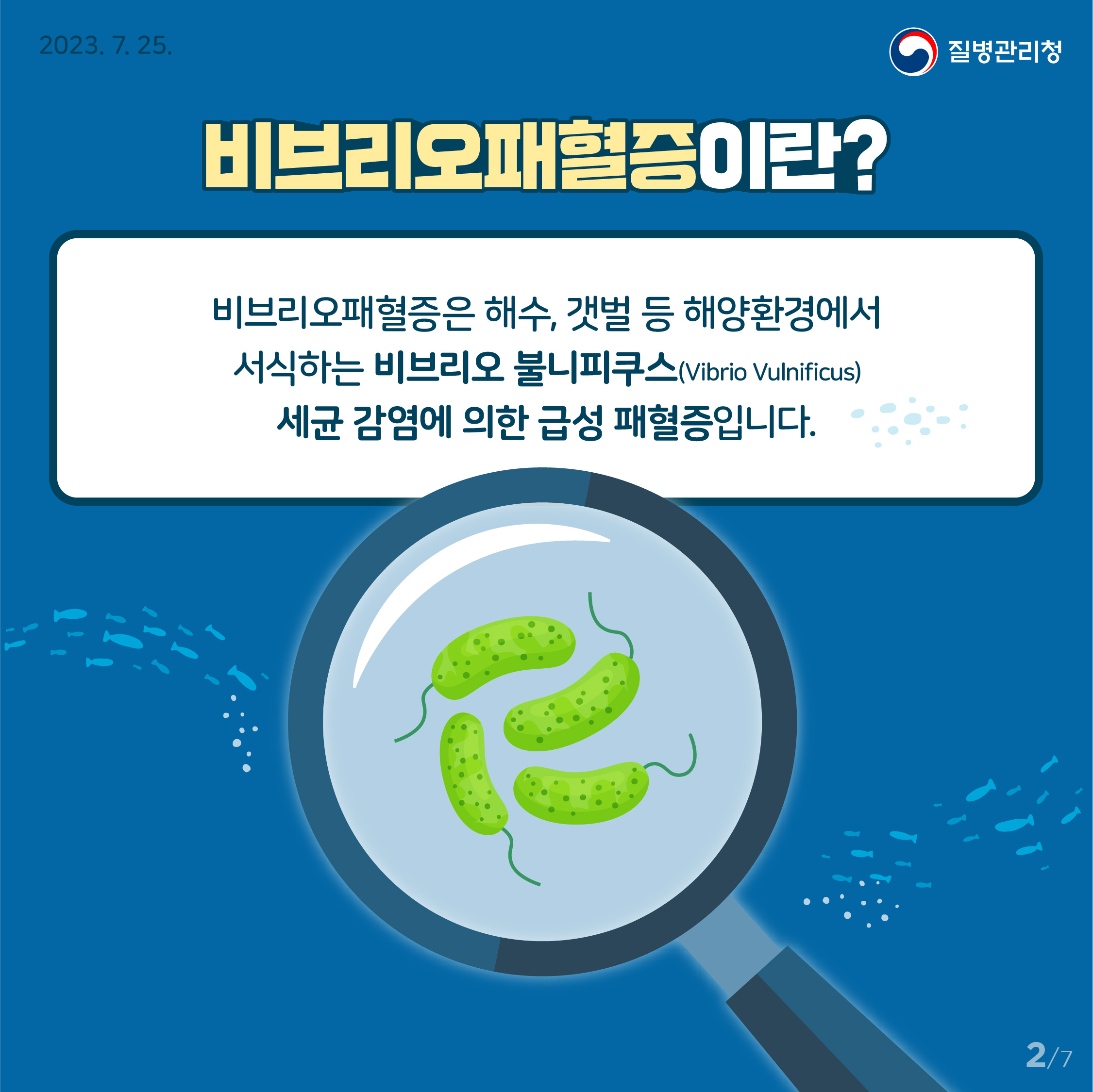 비브리오패혈증 함께 예방해요! 2