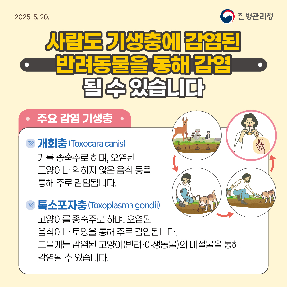 2025년 기생충 감염병 예방수칙 안내 5