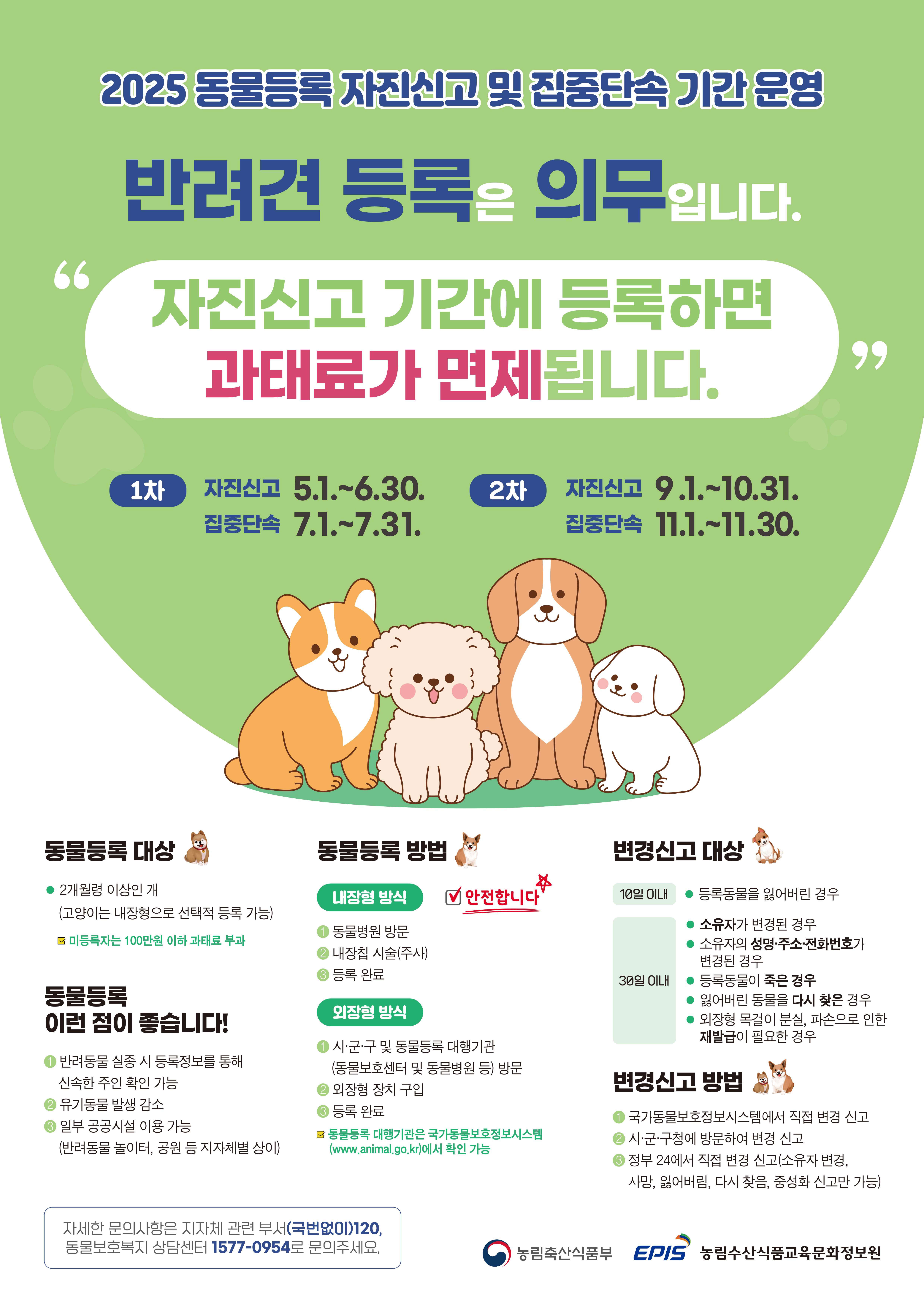 2025년 동물등록 자진신고 및 집중단속 기간 운영 안내 1