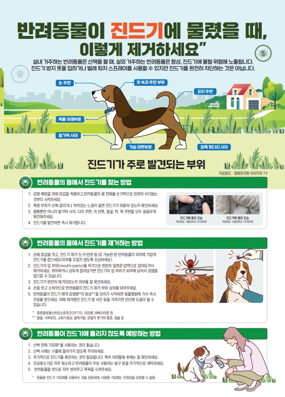 동물-사람 간 중증열성혈소판감소증후군(SFTS) 감염 주의 3