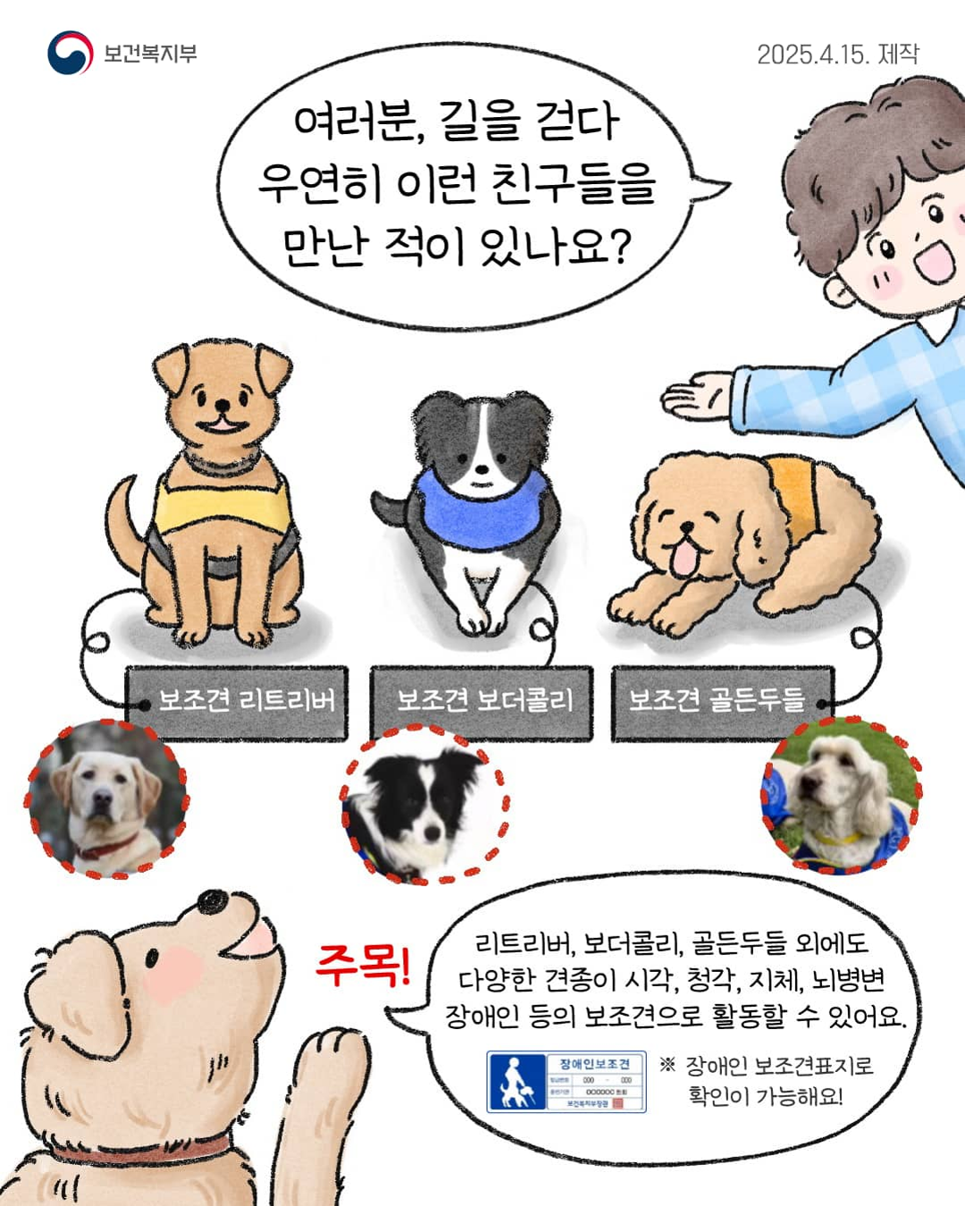 대중교통 및 공공장소 등 장애인 보조견 동반출입 안내 2