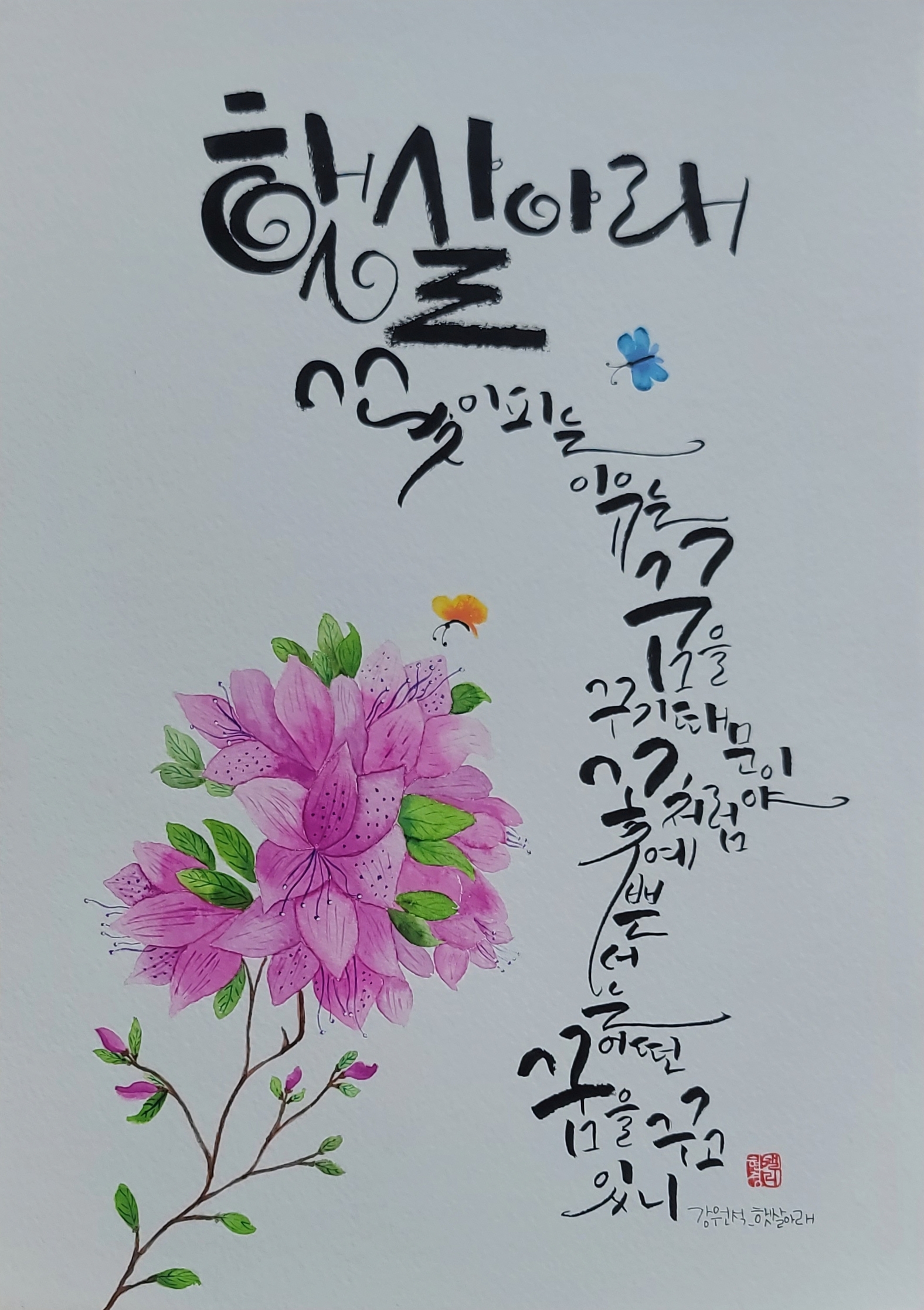 스토리캘리 이미지