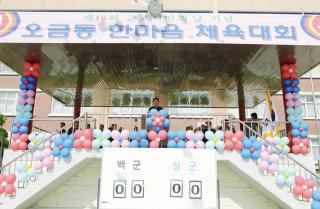 시민의날 기념 동별 체육대회(오금동) 