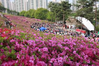 철쭉동산 및 중심상가 야외무대