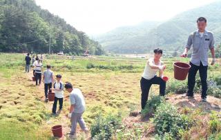 한해대책 일손돕기