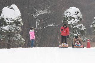 초막골 눈.얼음썰매장