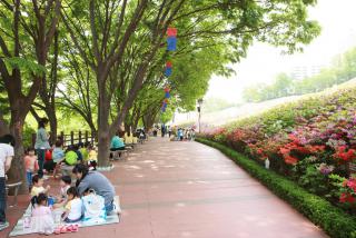 철쭉대축제 부시장님의 책 사랑방