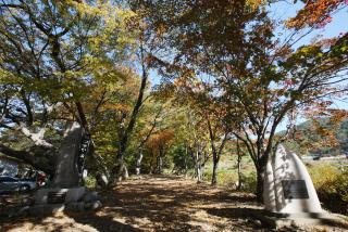 대야동 당숲 및 수리사 전경