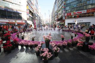 중심상가(분수광장) 철쭉정원 오픈식