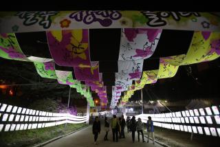 철쭉대축제(북콘서트)