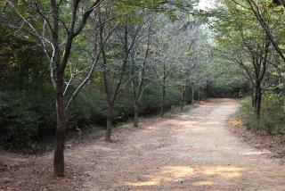 수리산둘레길 코스