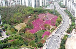 항공촬영(철쭉동산,초막골,은하연립