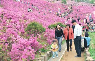 2003 철쭉동산 축제