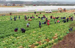 경북예천 농촌일손 돕기