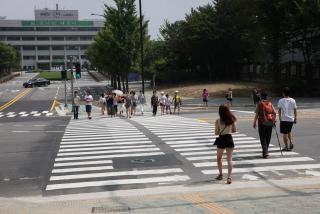 시청앞 횡단보도