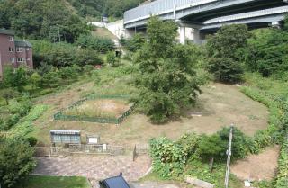 조선백자도요지