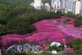 2016 철쭉동산 전경