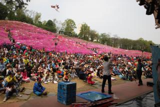 책나라군포 철쭉축제 현장 모습