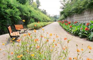 군포2동 신기천변 꽃길