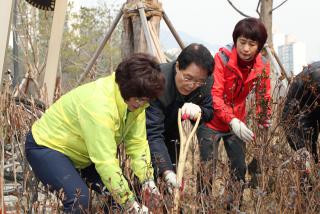 제72회 식목일 행사