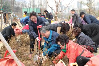 주민자치위원 철쭉식재 행사