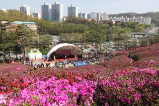 철쭉축제 현장