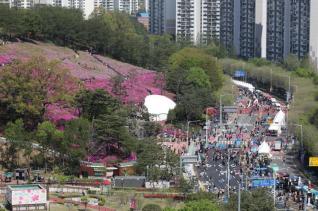 군포철쭉축제 현장