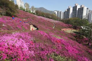 철쭉축제주간 행사 현장