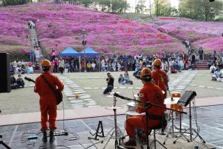 철쭉축제주간 현장