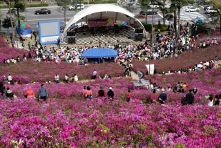 2006 철쭉동산축제(청소년 어울마당)