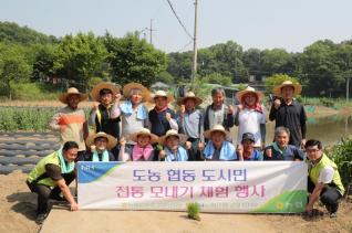 대야동 전통 모내기 체험 행사