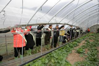 설해취약시설 일제정비