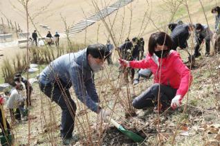 식목일 나무심기 행사