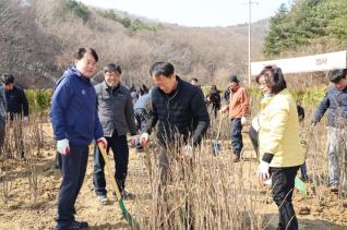 제80회 식목일 나무심기