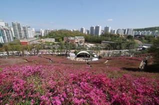 군포철쭉축제 현장