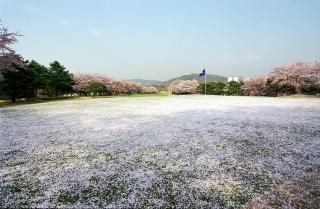 베네스트 골프장 개방