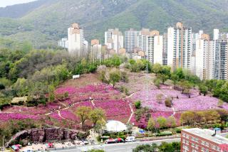 철쭉동산 전경
