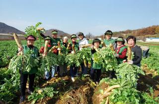 자매결연단체 농촌일손돕기