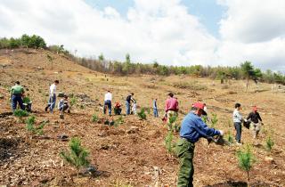 제53회 식목일 행사