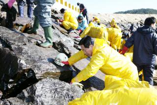 충남태안 기름유출 피해복구 자원봉사활동