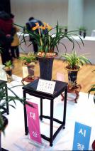 제6회 한국춘란 전시회(군포 난동호회)