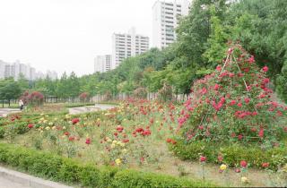 관내 근린공원 전경(양지, 능안, 도장, 느티울)