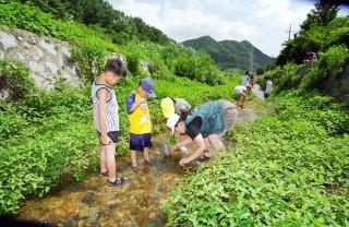 여름환경학교 실습