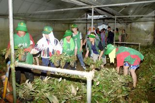 새마을 부녀회 수해복구작업