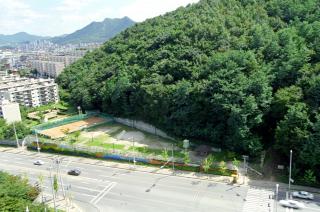 11단지 앞 공원부지